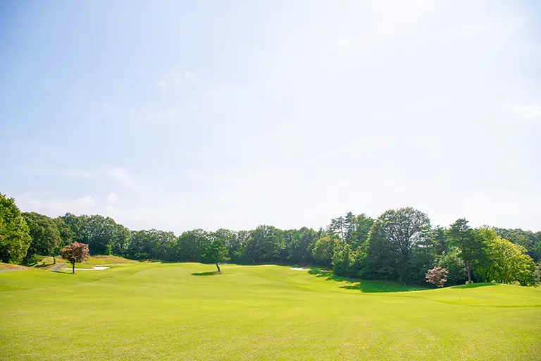 ゴルフ場のコース風景